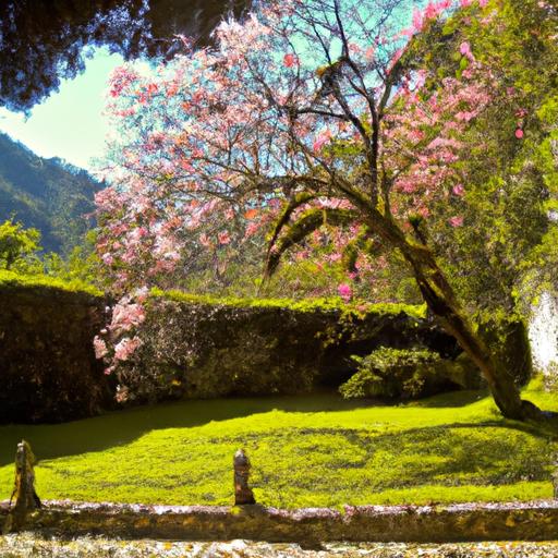 Guía completa para alquilar tu propio apartamento en Suiza