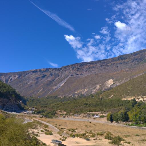 Conoce la Suva en Suiza: funciones y relevancia en el seguro social