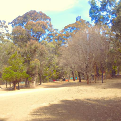 Opciones de beca para estudiar un máster en Suiza: Descubre cómo financiar tu formación